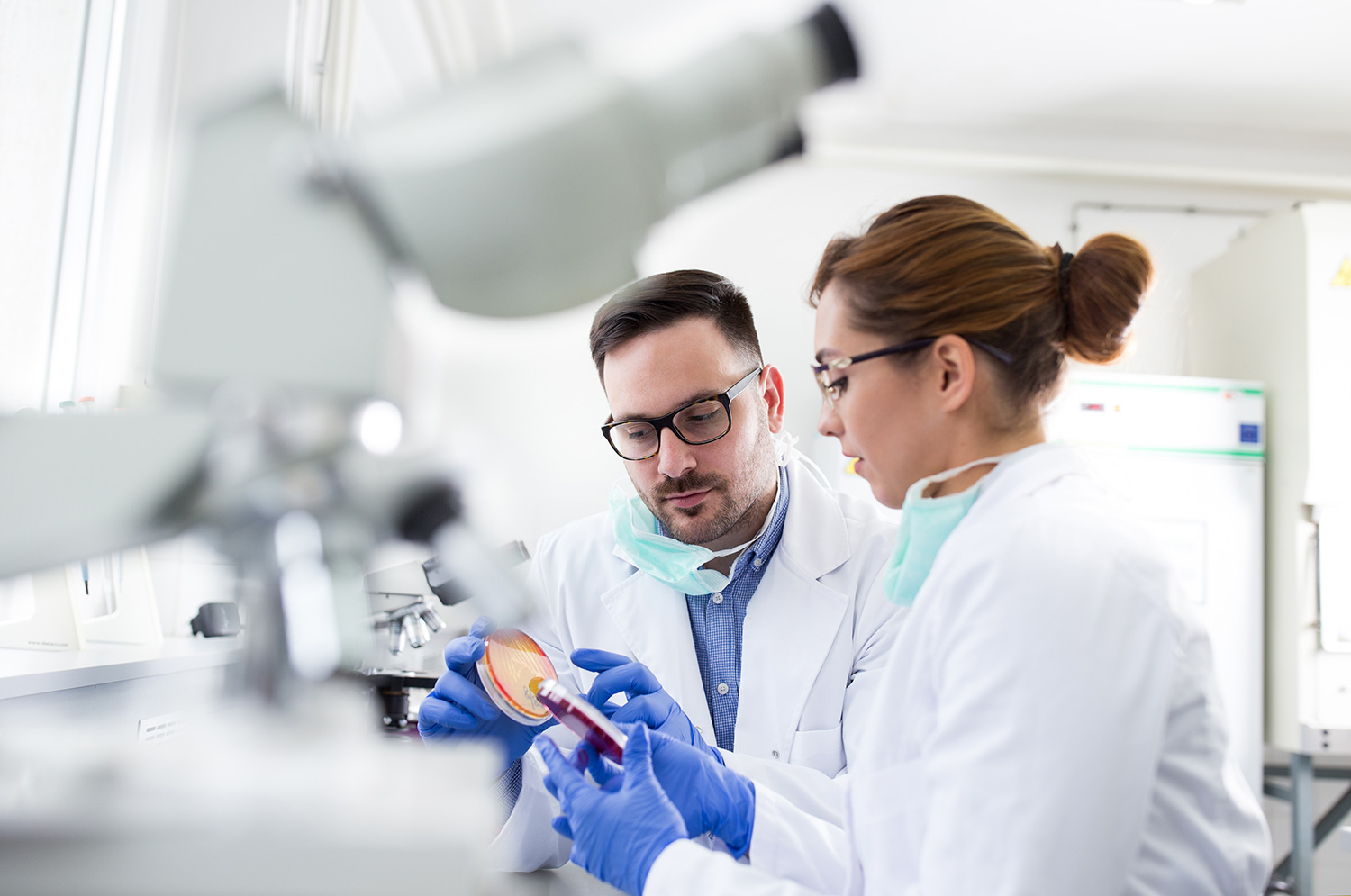 Two scientists inspecting petri dish samples in a sterile, white lab environment