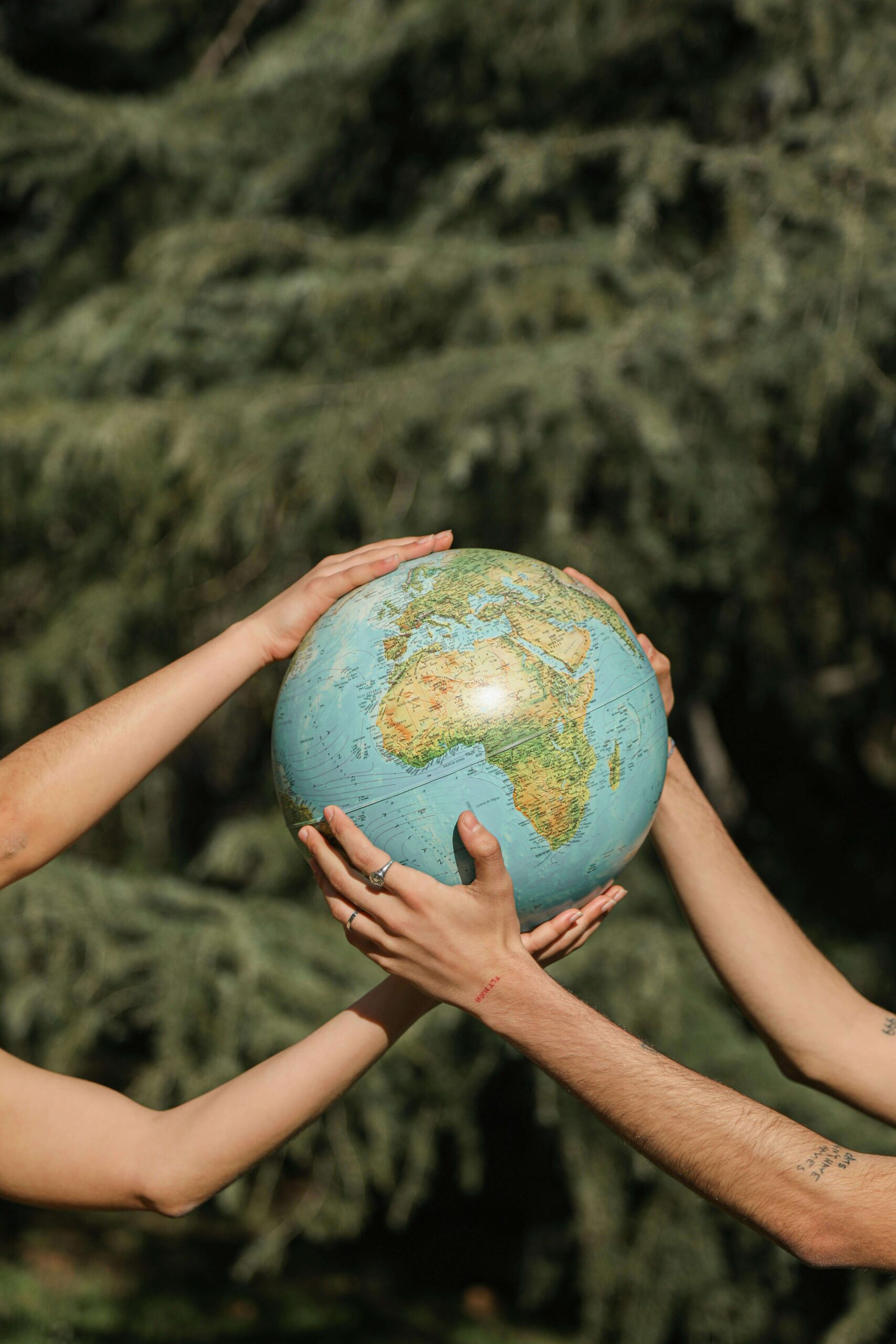 Two sets of hands holding a globe, there is a large evergreen tree in the background