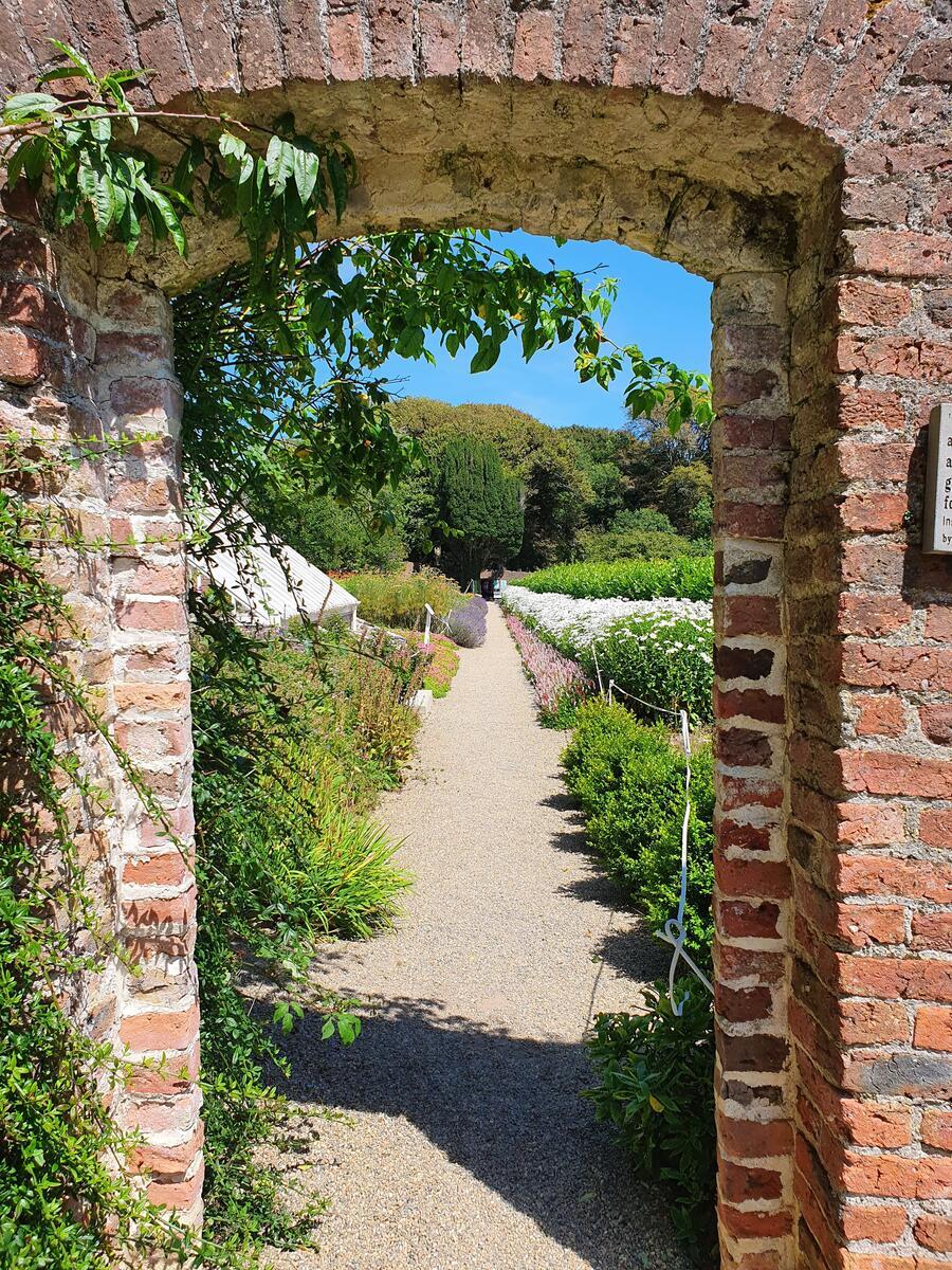 A rounded archway through a red brick wall, through the archway there is a long pathway leading down a walled garden in Colclough Walled Gardens. There is green shrubbery both sides of the pathway and a bright blue sky above