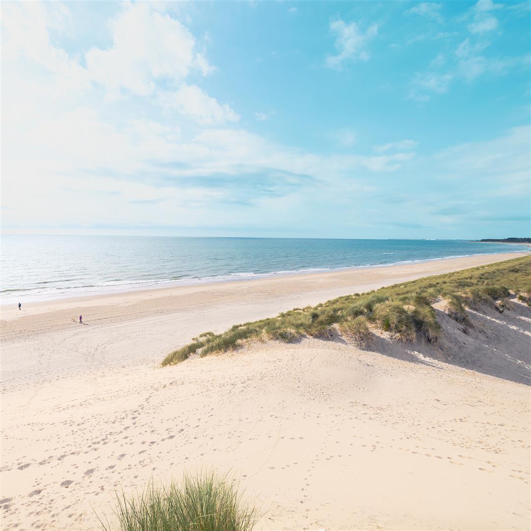 A bright day at Curracloe Beach overlooking the sand dunes with the Irish Sea to the left of the image.