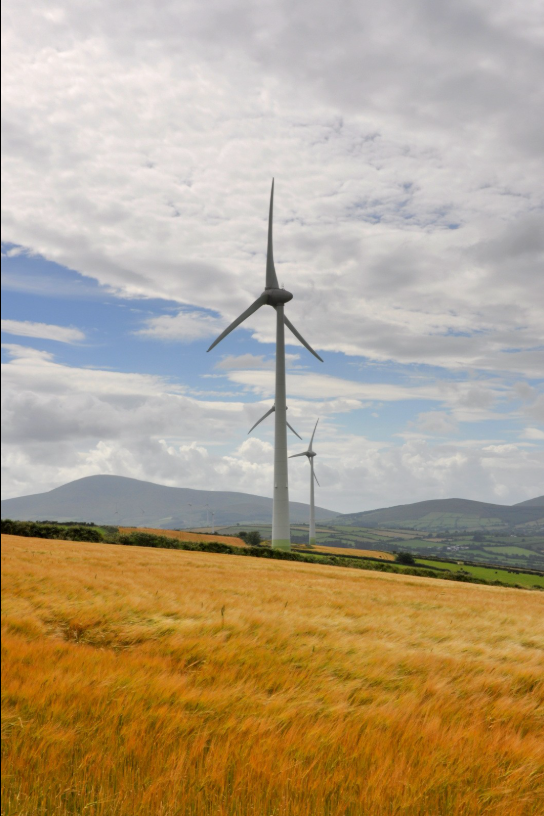 Wind Turbine in a field of grain in Castledockrel, County Wexford