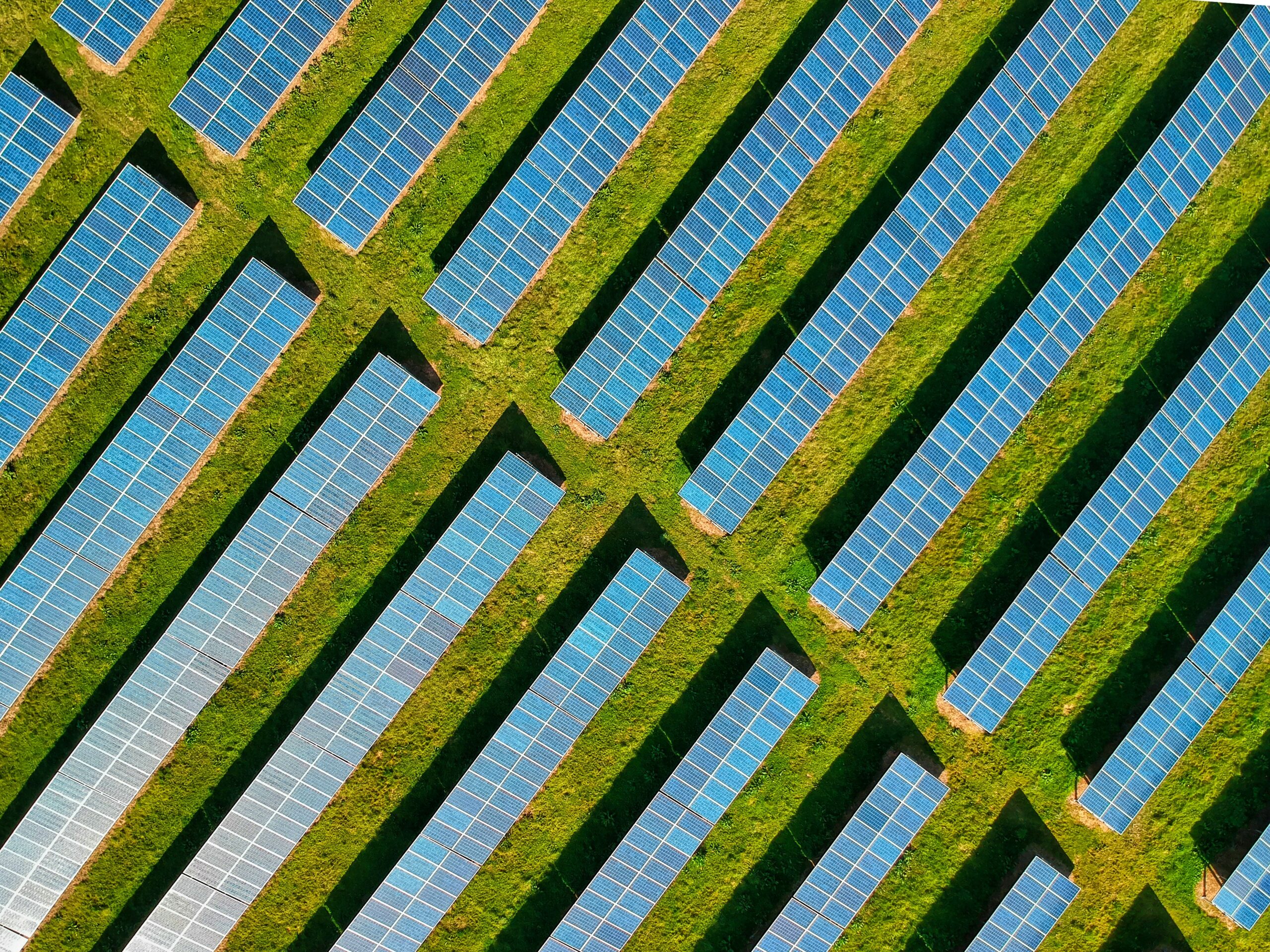 Rows of solar panels as viewed from above